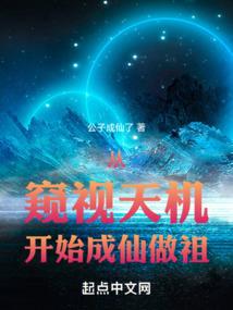 极品废婿