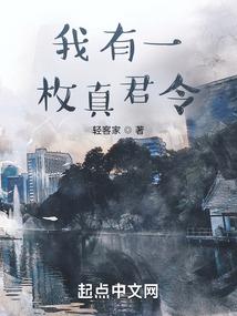 缭乱之最强大脑