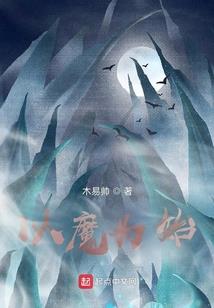 毕睿的不正常穿越旅行