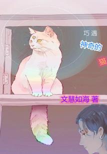 肆游者