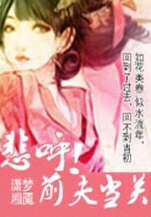 傲世小村医