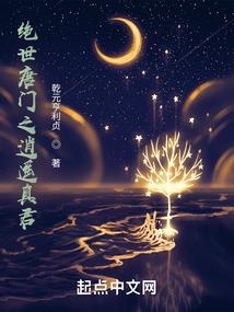 阴域之虚拟世界