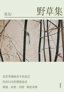 围棋大明星