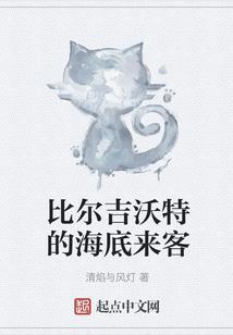 穿越海贼王之枪神