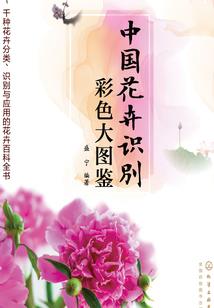 少年修真录