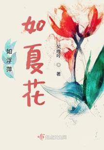 我对修为不感兴趣