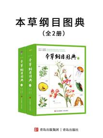 雕侠情缘